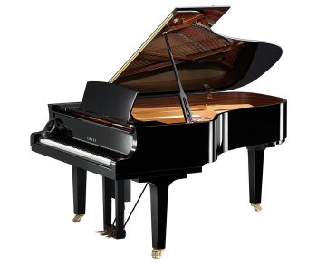 Yamaha Diskflügel schwarz c6x