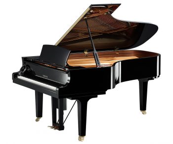 Yamaha Diskflügel schwarz C7x Enspire