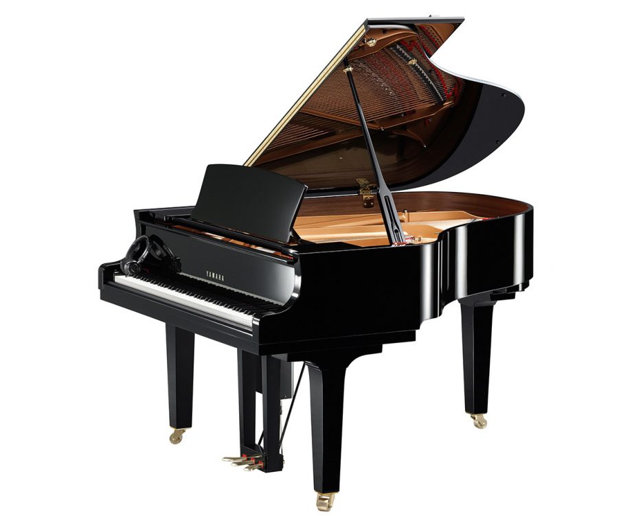 Yamaha Diskflügel C2x Enspire