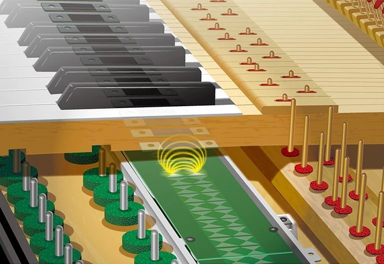 piano sensoren neue Piano Sensoren SC3