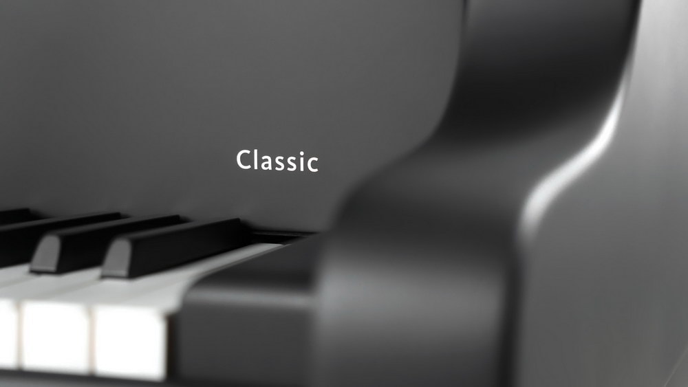 SCH_C169_BlackPearl_Detail_Classic_klein