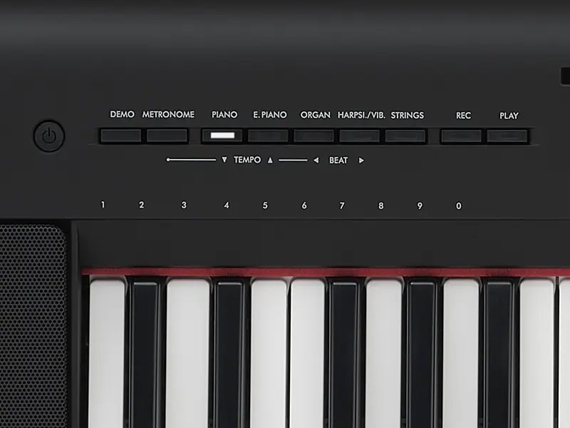 NP-common-Features-buttons Yamaha NP-35 Buttons