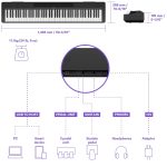 P-145-Dimension-Connectivity Yamaha P145 - Connectivity