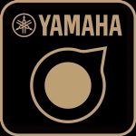 Rec n share Icon THR30II Rec 'n' Share Icon Yamaha